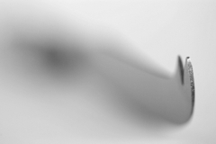 cui29