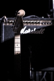 mus01